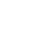 tick