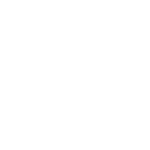 PostNL Logo White