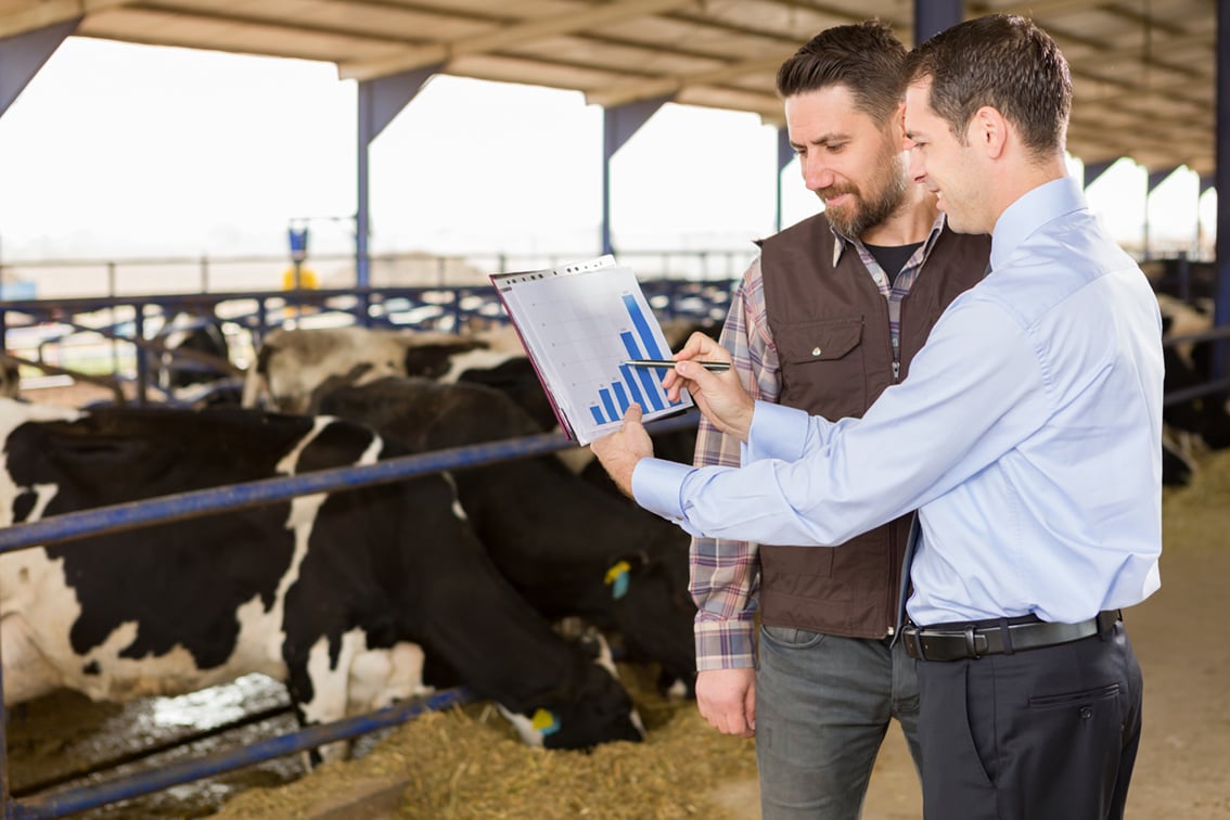 Rentenbank farmer and finance consultant