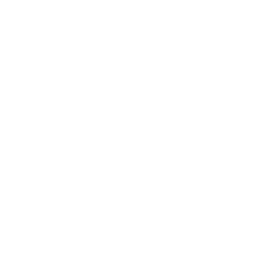 toyota-xxl
