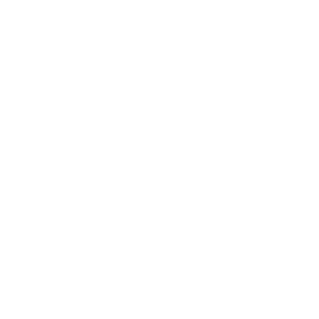Document White Icon