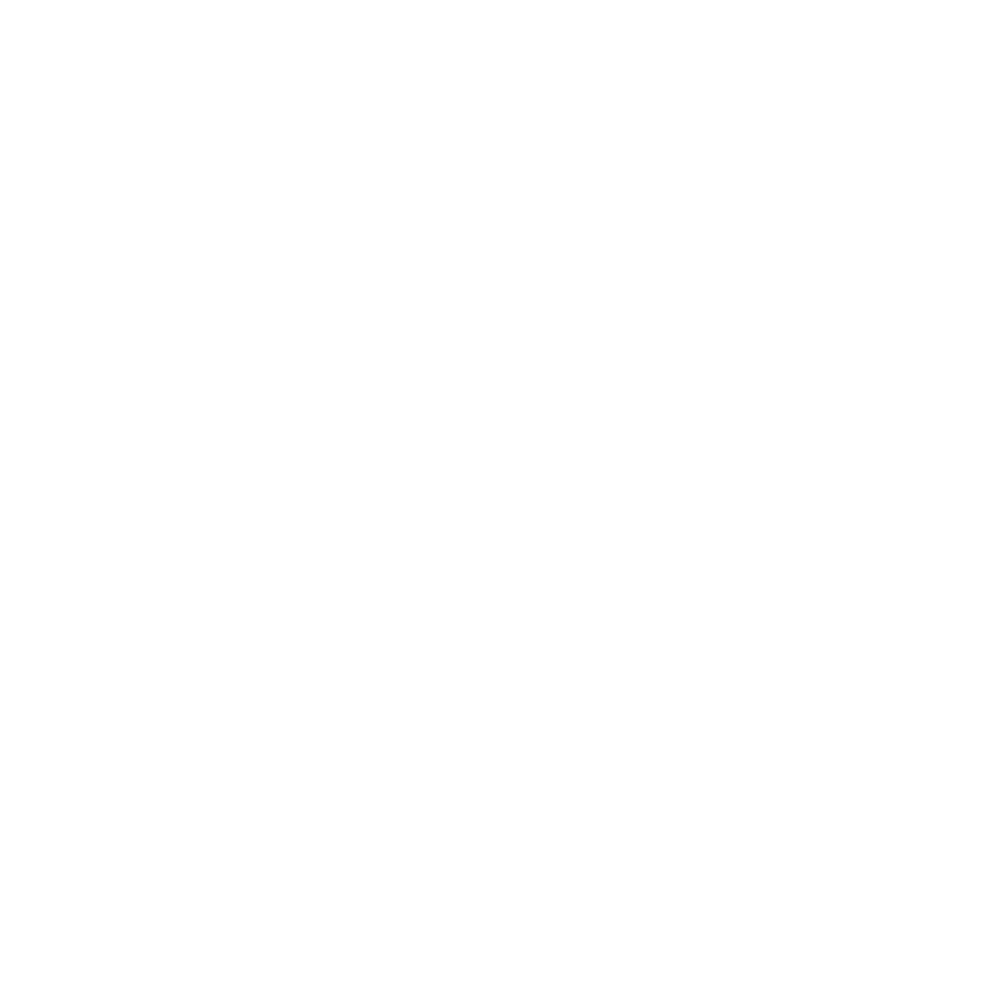Hub white White Icon