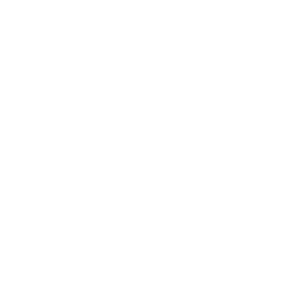 Money White Icon