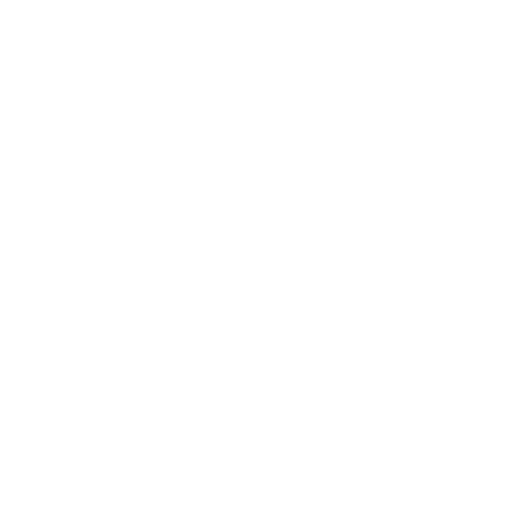 Partnership White Icon