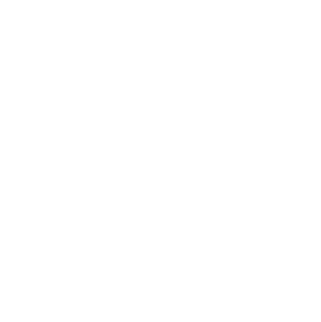 Portfolio White Icon