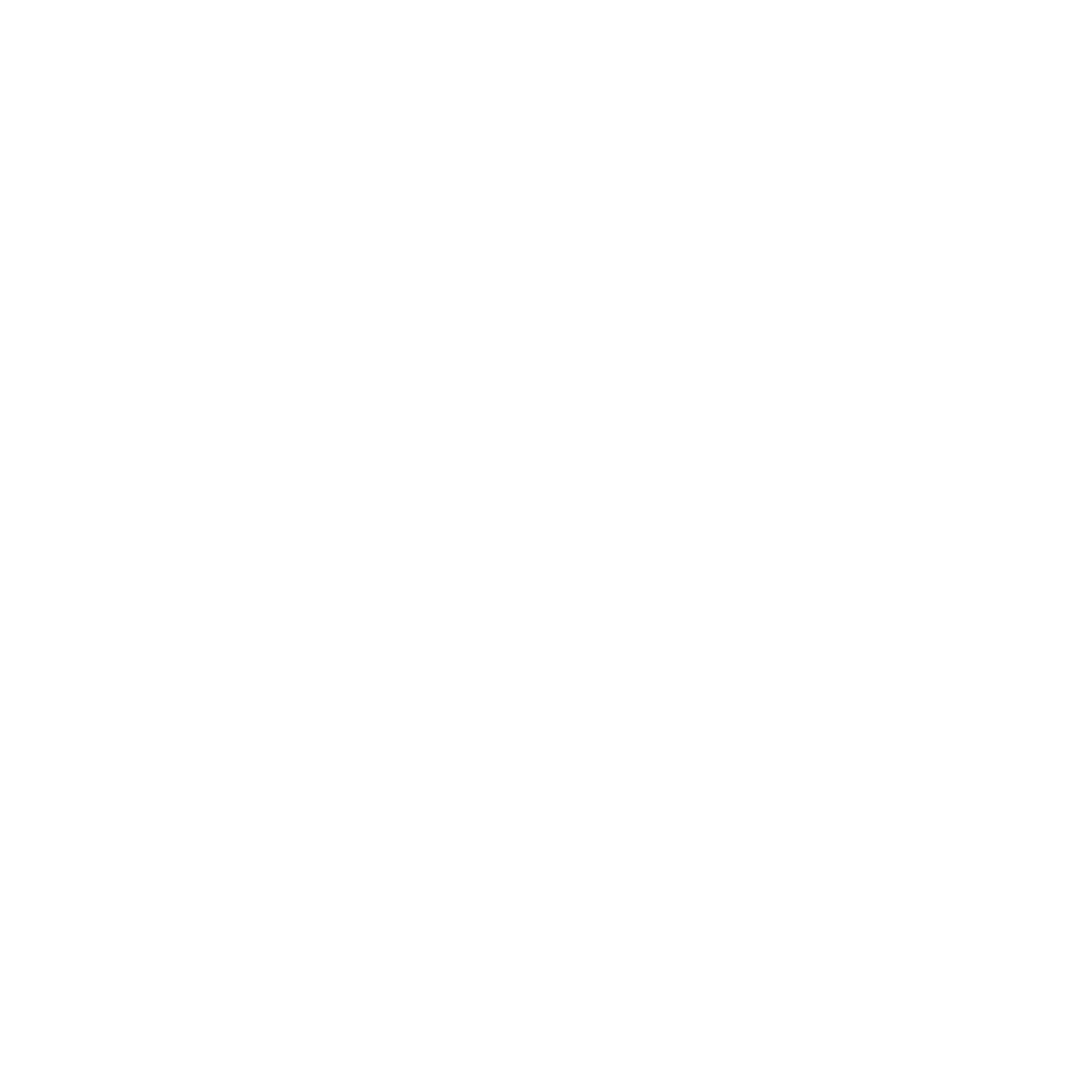 Premium Services White Icon
