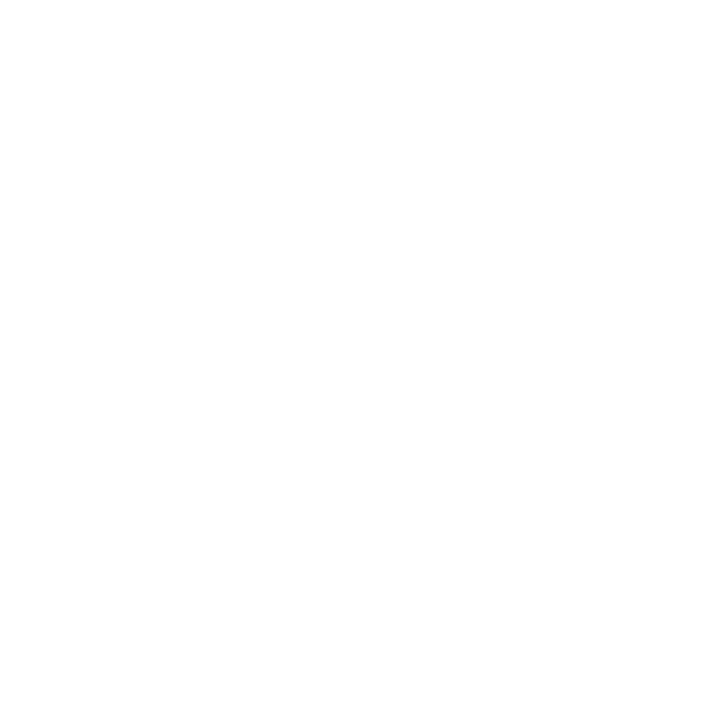 Success White Icon